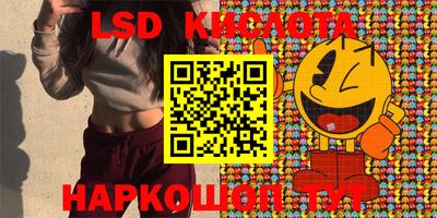 spice Кулебаки
