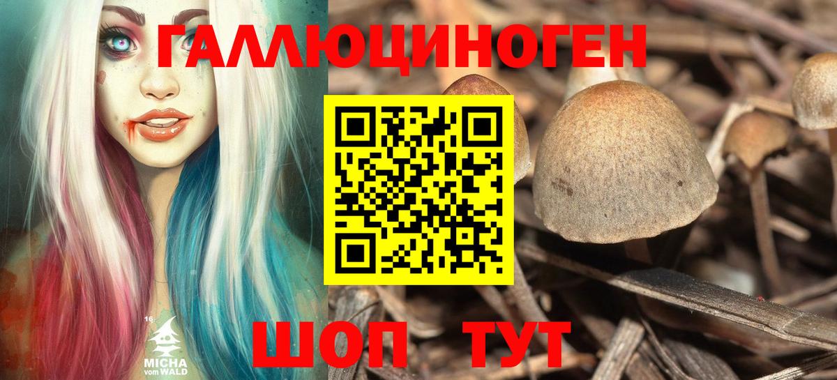 Галлюциногенные грибы прущие грибы Чехов