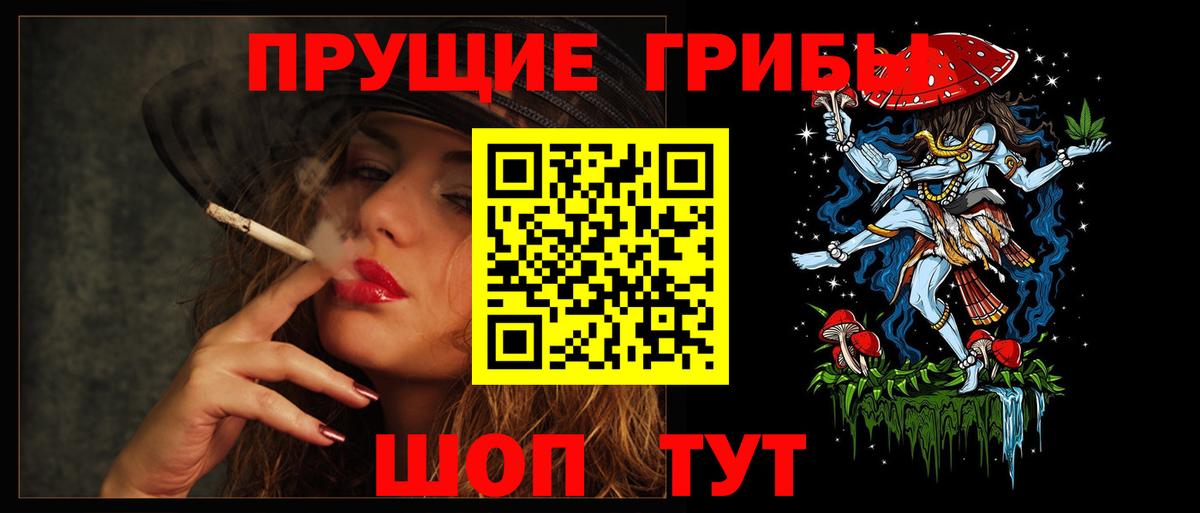 Галлюциногенные грибы Psilocybe  Вход с VPN  Чехов 